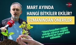 Mart Ayında Hangi Bitkiler Ekilir? Uzmanından Öneriler