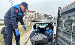 Ordu’da 300 kilogram kaçak ve kokmuş kuyruk yağına el konuldu