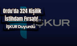 Ordu'da 324 Kişilik İstihdam Fırsatı! İŞKUR Duyurdu