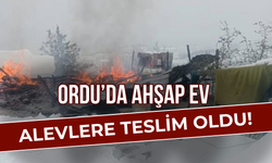 Ordu’da Ahşap Ev Alevlere Teslim Oldu!