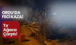 Ordu'da Feci Kaza: Tır Ağaca Çarptı!