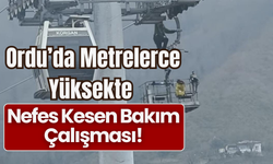 Ordu’da Metrelerce Yüksekte Nefes Kesen Bakım Çalışması!