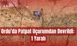 Ordu’da Patpat Uçurumdan Devrildi: 1 Yaralı