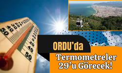 Ordu’da Termometreler 29’u Görecek!