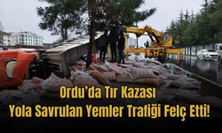 Ordu’da Tır Kazası: Yola Savrulan Yemler Trafiği Felç Etti!