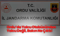 Ordu’da Yolcu Otobüsünden Yolcu Değil, Bakın Ne Çıktı!