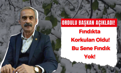 Ordulu Başkan Açıkladı! Fındıkta Korkulan Oldu! Bu Sene Fındık Yok!