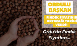 Ordulu Başkan Fındık Fiyatının Artacağı Tarihi Verdi! Ordu’da Fındık Fiyatları…