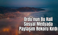 Ordu’nun Bu Hali Sosyal Medyada Paylaşım Rekoru Kırdı