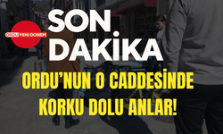 Ordu’nun O Caddesinde Korku Dolu Anlar!