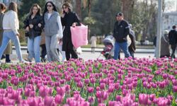 Samsun’da lale zamanı