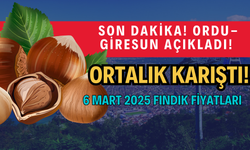 Son Dakika! Ordu-Giresun Fındık Fiyatı Açıkladı! Ortalık Karıştı!