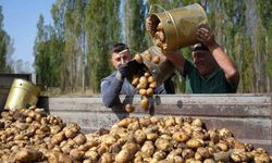 Tarımsal girdi fiyat endeksi yıllık yüzde 30,49 arttı