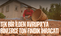 Tek Bir İlden Avrupa’ya Binlerce Ton Fındık İhracatı