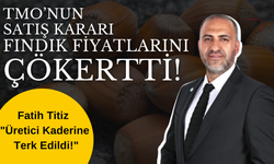 TMO’nun Satış Kararı Fındık Fiyatlarını Çökertti! Fatih Titiz: "Üretici Kaderine Terk Edildi!"