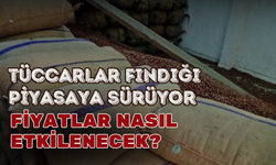 Tüccarlar Fındığı Piyasaya Sürüyor: Fiyatlar Nasıl Etkilenecek?