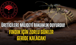 Üreticilere Müjdeyi Bakanlık Duyurdu! Fındık İçin Zorlu Günler Geride Kalacak!