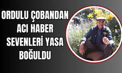 Ordulu Çobandan Acı Haber: Sevenleri Yasa Boğuldu