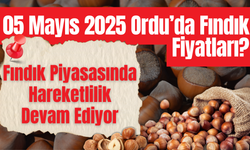 05 Mayıs 2025 Ordu’da Fındık Fiyatları?