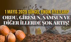 1 Mayıs 2025 Güncel Fındık Fiyatları: Ordu, Giresun, Samsun ve Diğer İllerde Şok Artış!