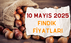 10 Mayıs 2025 Fındık Fiyatları