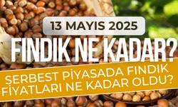 13 Mayıs 2025 Fındık Fiyatları? Serbest Piyasada Fındık Fiyatları Ne Kadar Oldu?