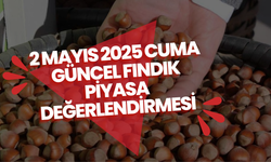 2 Mayıs 2025 Cuma - Güncel Fındık Piyasa Değerlendirmesi