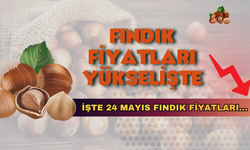 24 Mayıs 2025 Güncel Fındık Fiyatları?