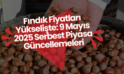 Fındık Fiyatları Yükselişte: 9 Mayıs 2025 Serbest Piyasa Güncellemeleri