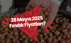 28 Mayıs 2025 Fındık Fiyatları?