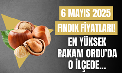6 Mayıs 2025 Fındık Fiyatları! En Yüksek Rakam Ordu’da O İlçede…
