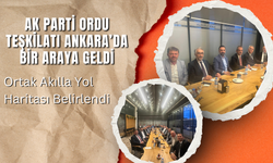 AK Parti Ordu Teşkilatı Ankara’da Bir Araya Geldi: Ortak Akılla Yol Haritası Belirlendi