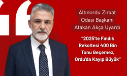 Atakan Akça Uyardı: “2025’te Fındık Rekoltesi 400 Bin Tonu Geçemez, Ordu’da Kayıp Büyük”