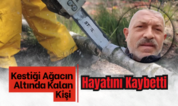 Kestiği Ağacın Altında Kalan Kişi Hayatını Kaybetti