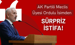 AK Partili Meclis Üyesi Ordulu İsimden Sürpriz İstifa