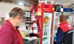 Amasya’da 26 tavuk dönerciye 9,5 milyon TL’den fazla ceza yağdı