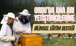 Ordu’da Ana Arı Yetiştiricilerine Bilimsel Eğitim Desteği