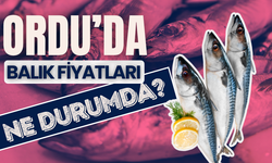 Altınordu'da Balık Tezgahları Şenlendi: Hamsi ve Kefal Bolluğu Vatandaşı Sevindirdi