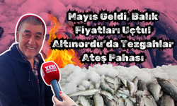 Mayıs Geldi, Balık Fiyatları Uçtu: Altınordu’da Tezgahlar Ateş Pahası