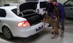 Bolu’da kaçakçılık operasyonunda 4 gözaltı