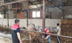 Çorum’da hayvan pazarları kapatıldı