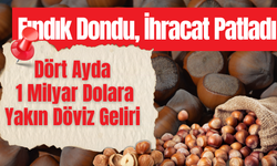 Fındık Dondu, İhracat Patladı: Dört Ayda 1 Milyar Dolara Yakın Döviz Geliri