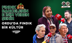 Fındık Bahçelerine İsim Veren Şehir: Ordu’da Fındık Bir Kültür