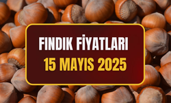 Fındık Fiyatları 15 Mayıs 2025