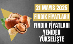 Fındık Fiyatları Yeniden Yükselişte: Serbest Piyasada Son Durum (21 Mayıs 2025)