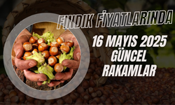 Fındık Fiyatlarında 16 Mayıs 2025 Güncel Rakamlar