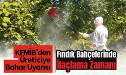KFMİB’den Üreticiye Bahar Uyarısı: Fındık Bahçelerinde İlaçlama Zamanı