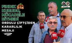 Fındık Kurudu, Mücadele Bitmedi: Ordulu Çiftçiden Kararlılık Mesajı