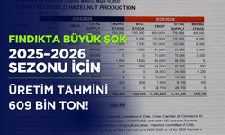 Fındıkta Büyük Şok: 2025–2026 Sezonu İçin Üretim Tahmini 609 Bin Ton!