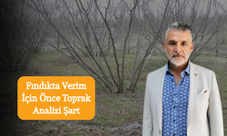 Fındıkta Verim İçin Önce Toprak Analizi Şart